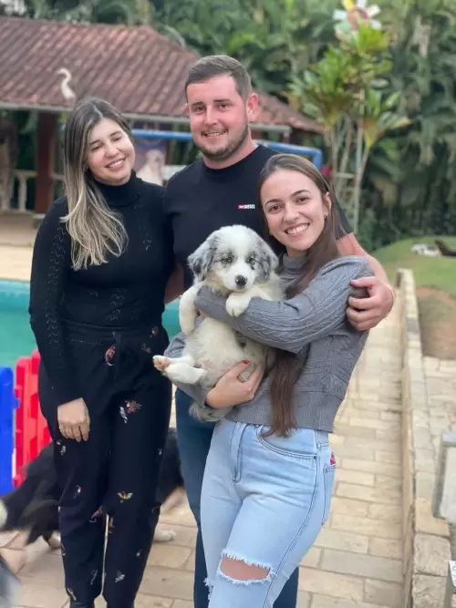 Famílias 