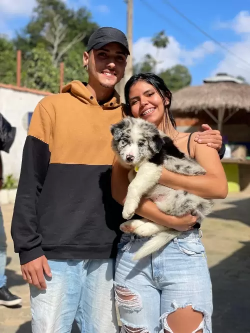 Famílias 