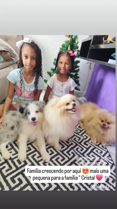 Famílias 