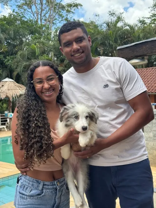 Famílias 