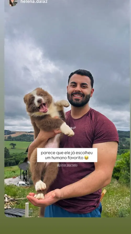 Famílias 
