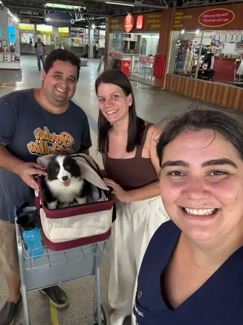 Famílias 