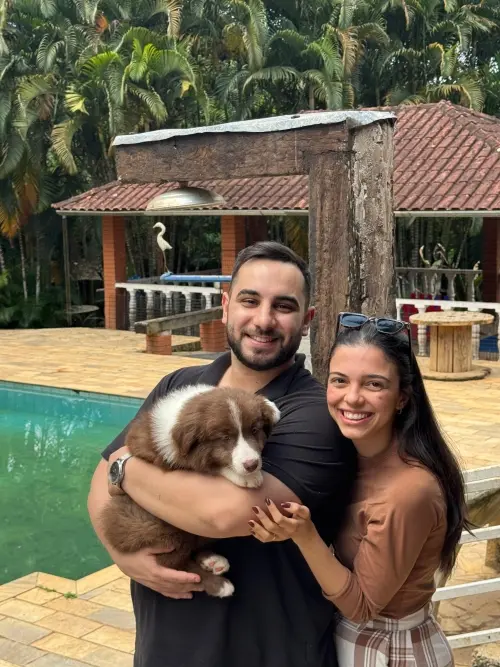 Famílias 