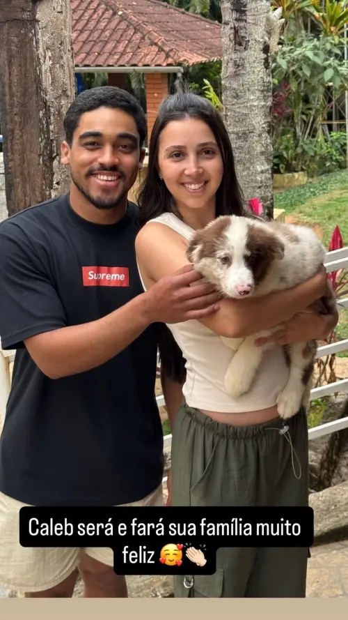 Famílias 