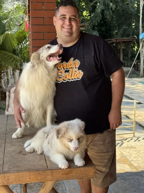 Wolf Priori Filhotes 