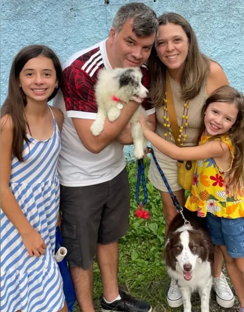 Famílias 