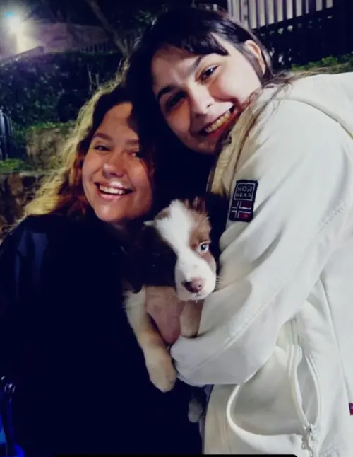 Famílias 