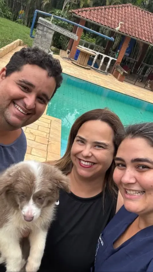 Famílias 