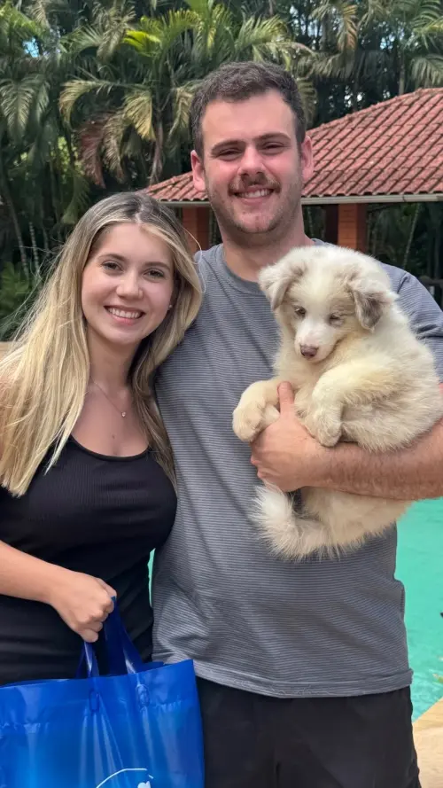 Famílias 