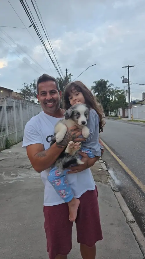Famílias 
