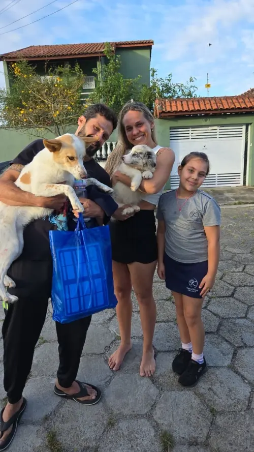 Famílias 