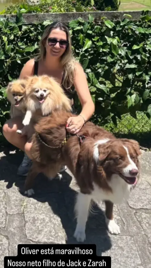 Famílias 