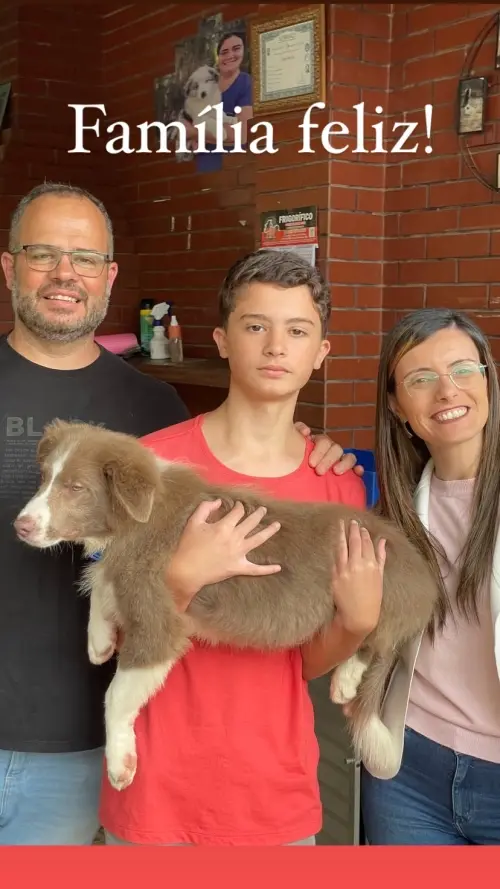 Famílias 