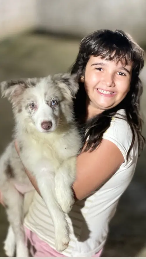 Wolf Priori Filhotes 